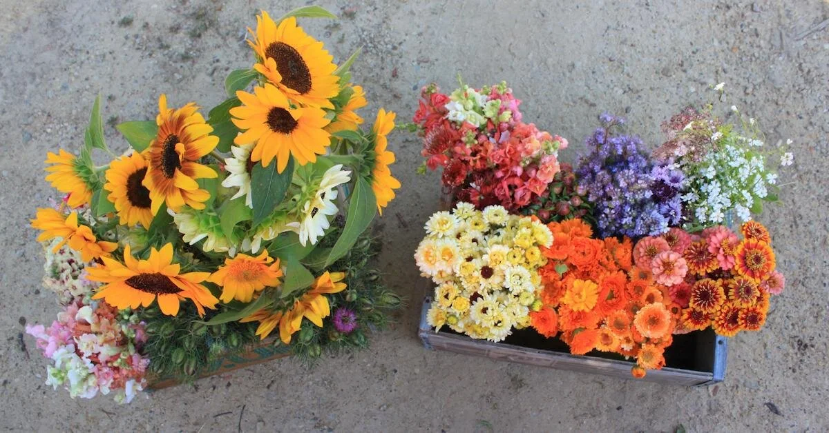 Best Tips for Operating a Roadside Flower Stand