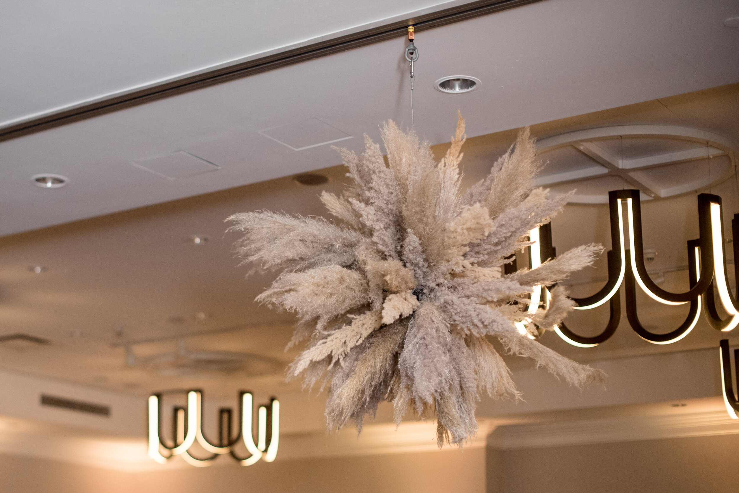 How to Create a Pampas Grass Hanging Installation