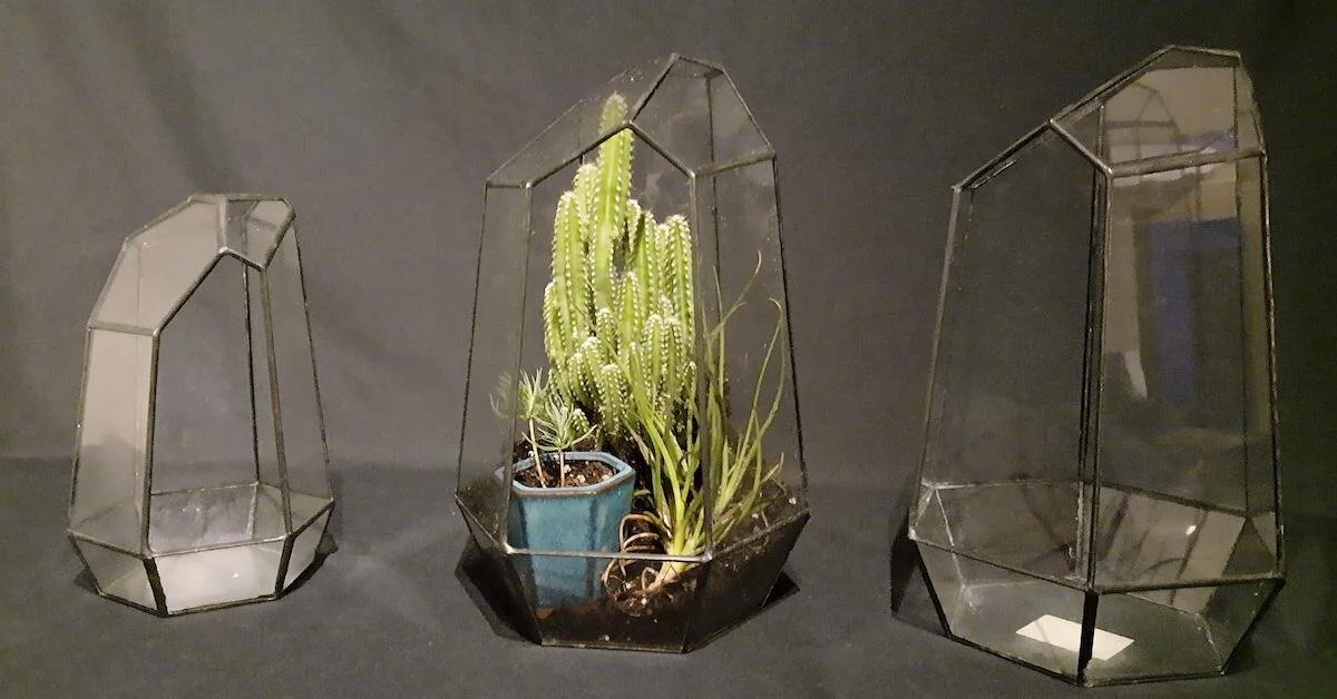 How to Design Geodesic Terrariums