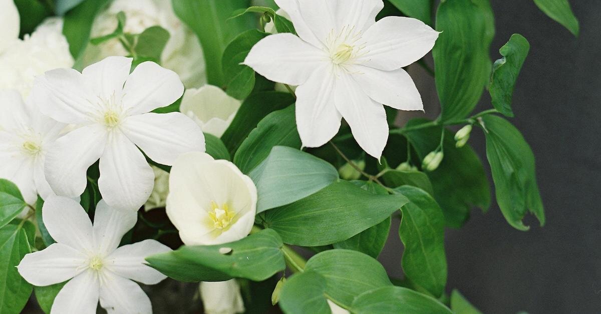 Pressing Pause on Your Business