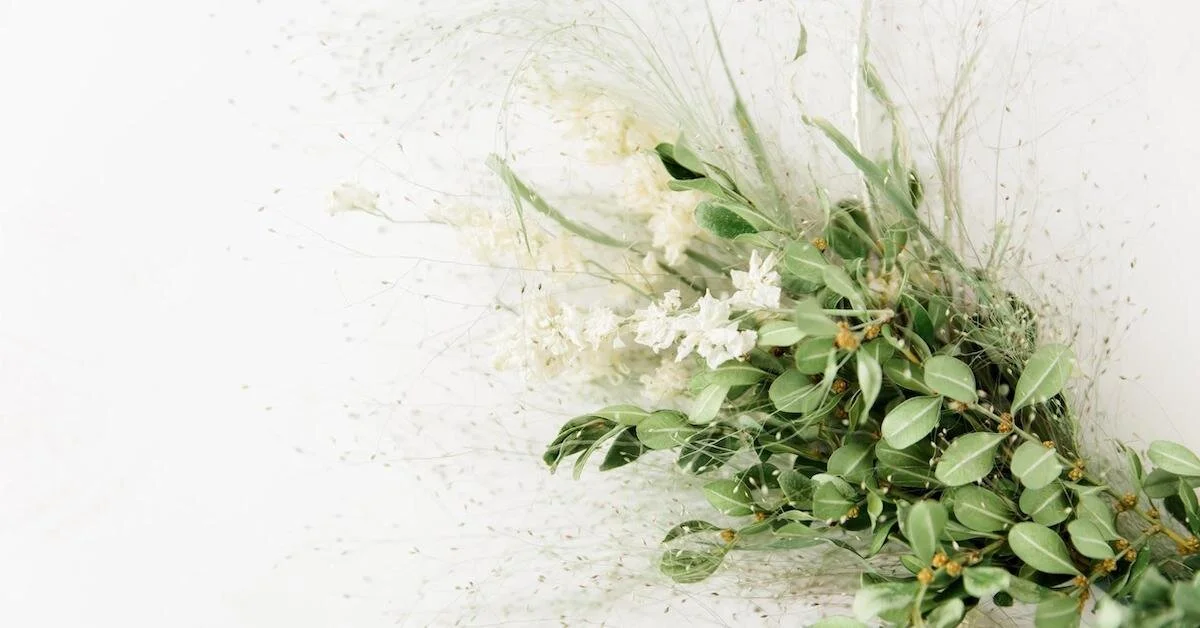 Unique Grasses to Use in Floral Design—And How to Grow Them