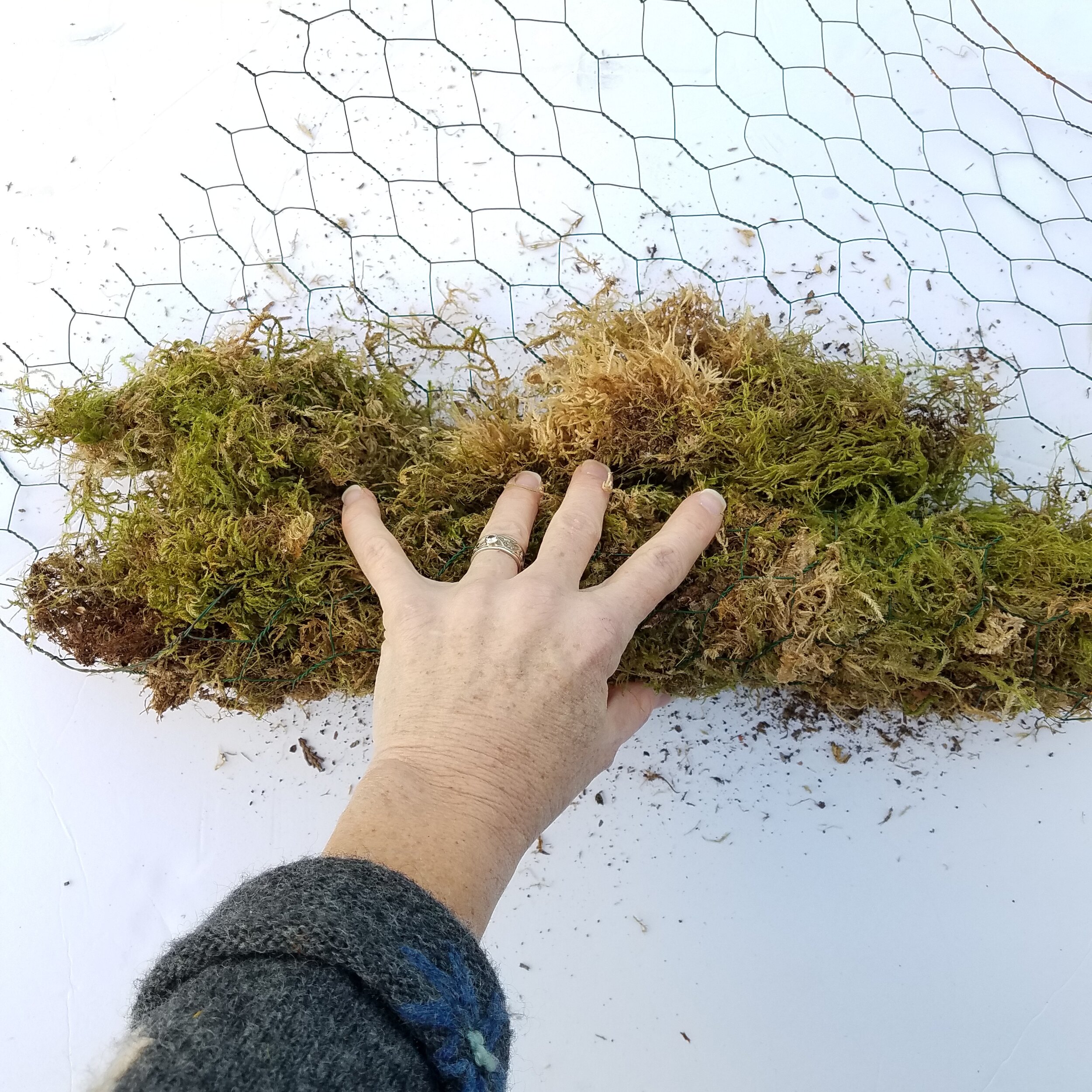 How to Use Moss as a Foam-Free Floral Mechanic