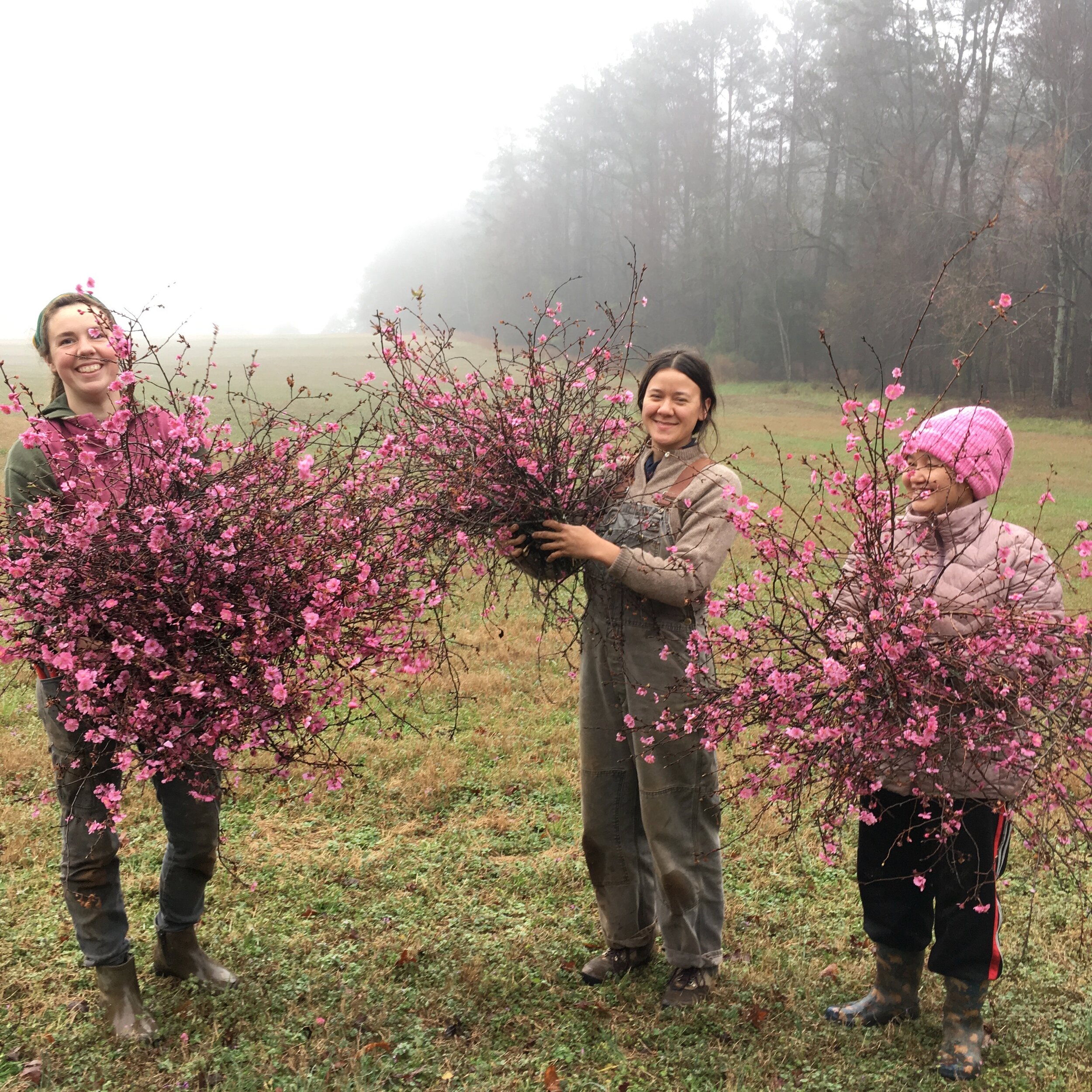 3 porch crew with cherry blossoms.jpg