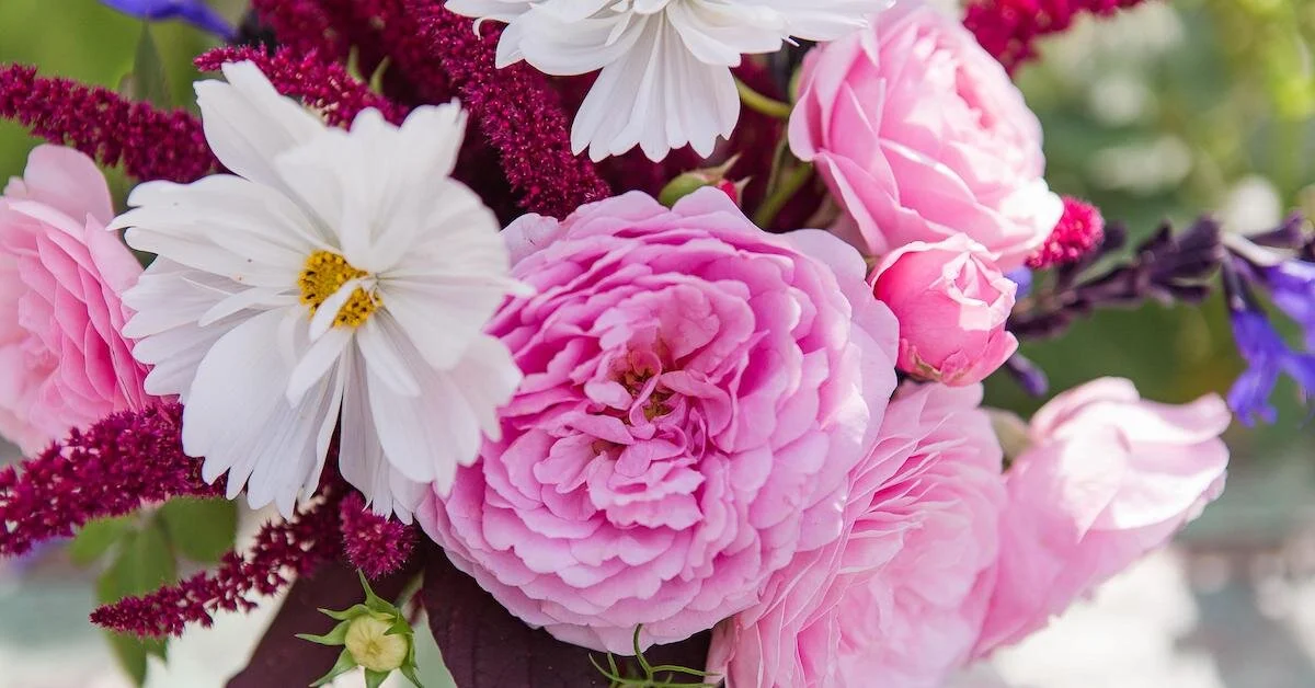 Preparing for the Future with Debra Prinzing