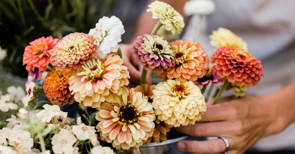 Diversifying Your Flower Farm Revenue by Using Airbnb