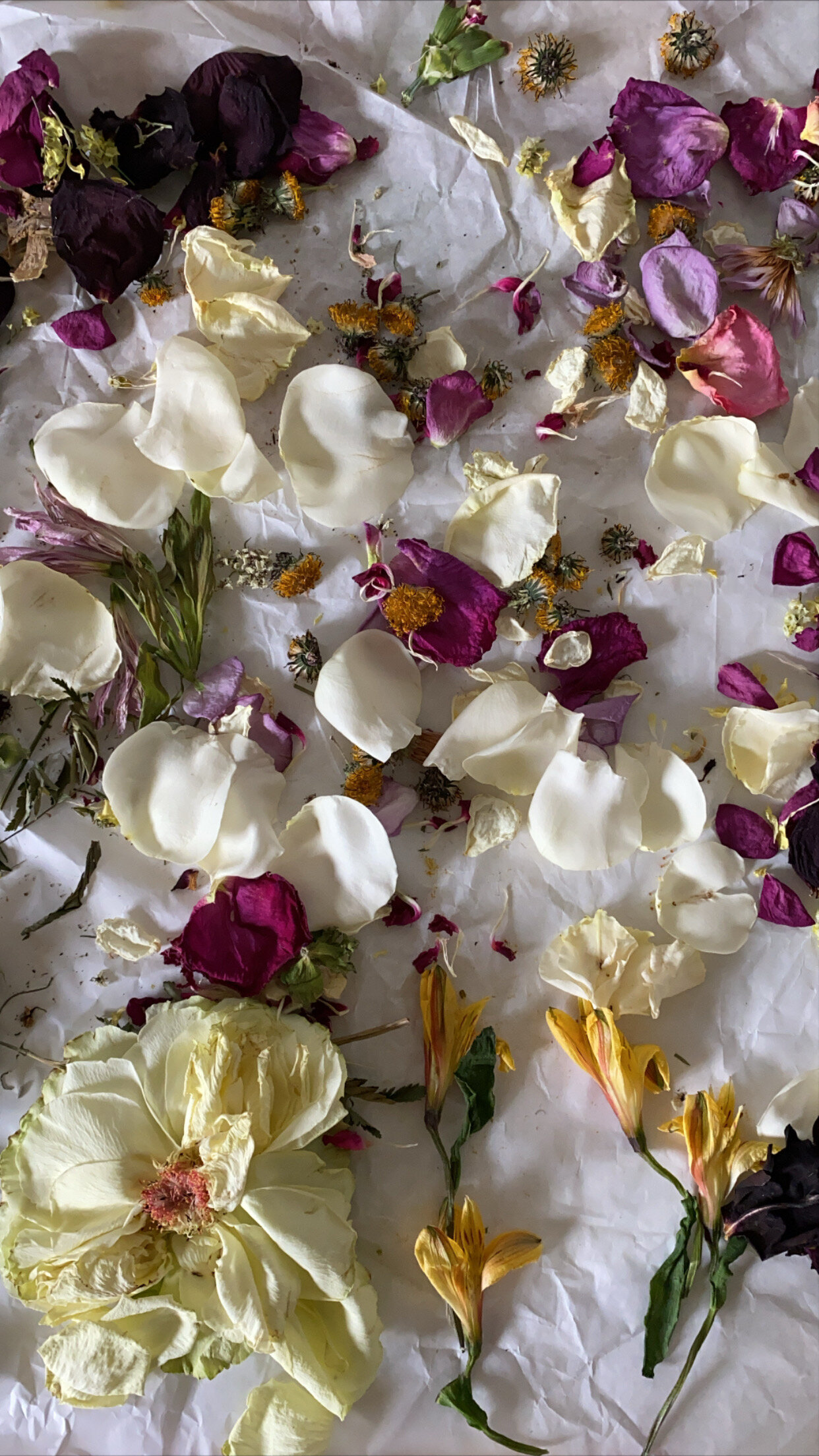How to Start a Dried Flower Business