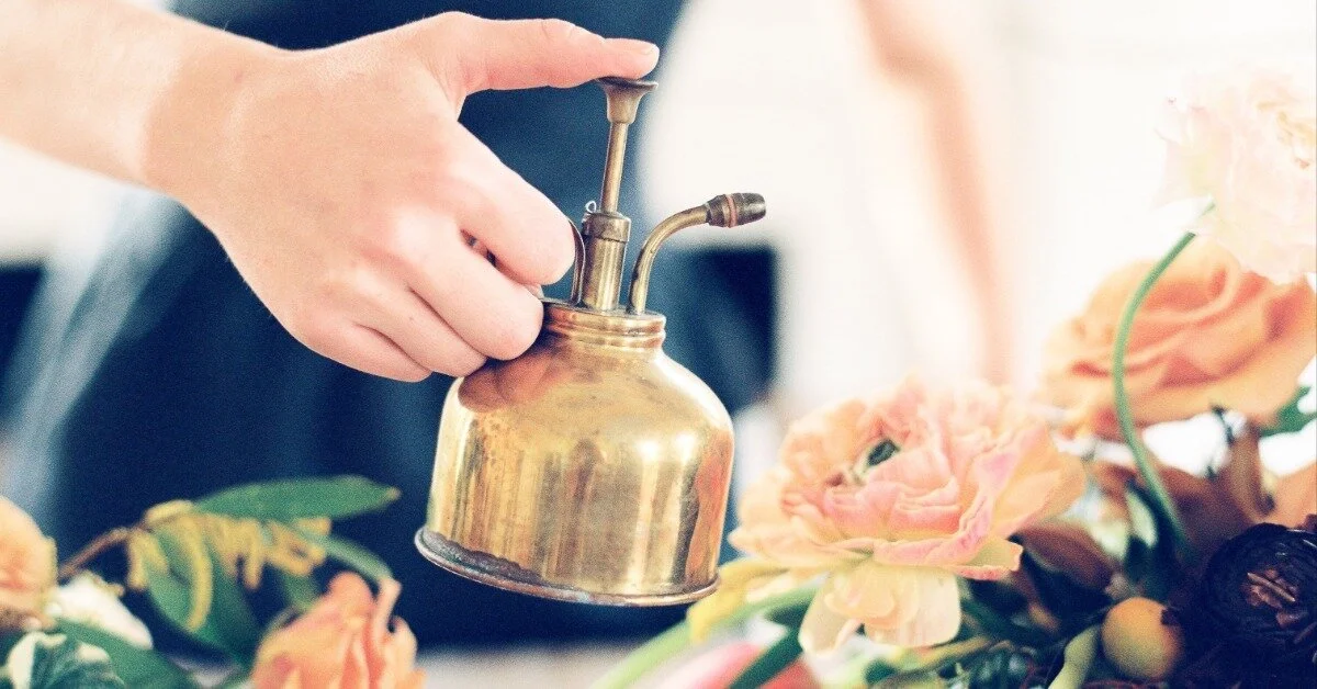 Seed, Root, Bloom: 3 Business Lessons to Learn from Plants