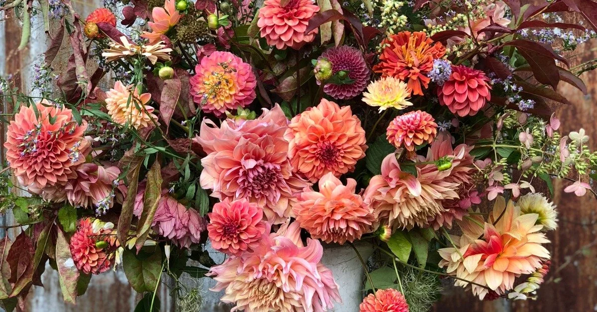 Working with Native Plants with Lee Carlton