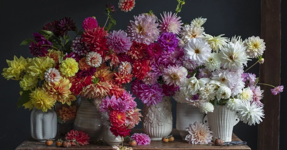 Life in the Studio with Frances Palmer