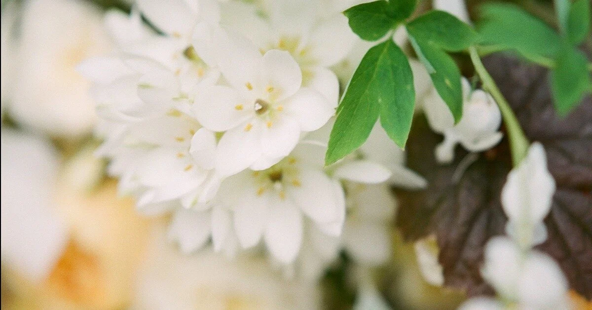 Why You Should Hire Your Own Photographer for Your Wedding Design Work