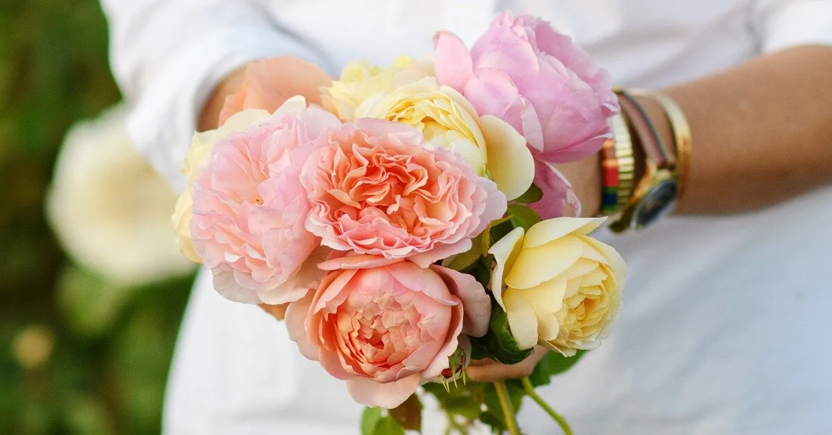 Navigating Fires as a Farmer with Menagerie Flower