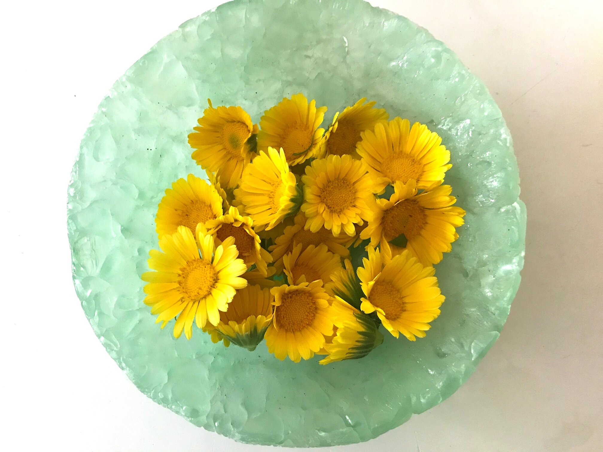 Using and Growing Edible Flowers for Floral Design