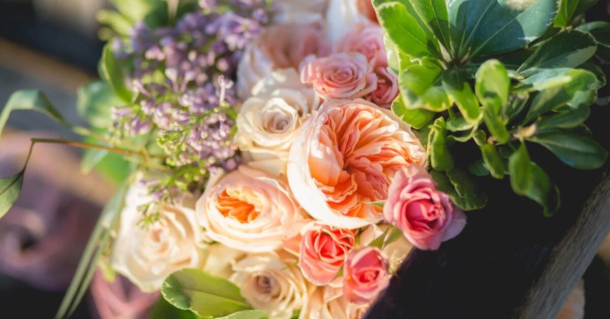 5 Tips to Rediscover Joy and Motivation in Flowers