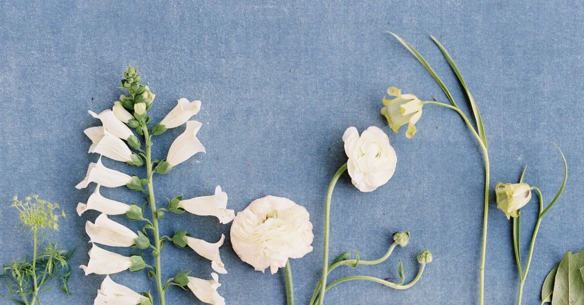 Why You Should Grow Native Perennial Flowers on Your Flower Farm