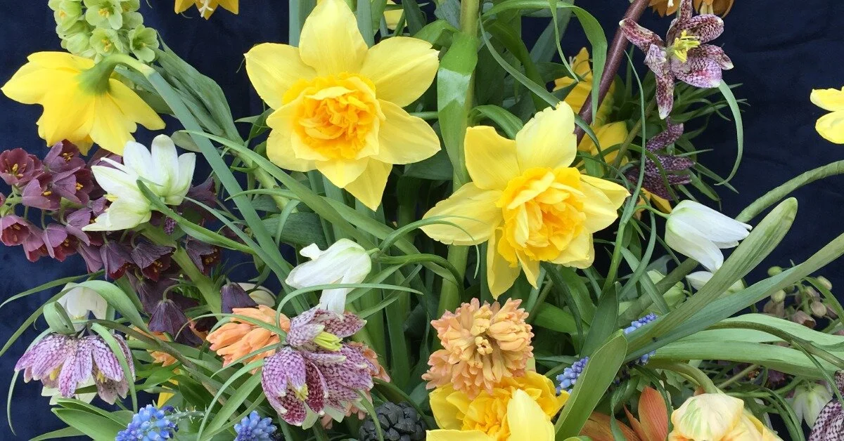 Planting a Cutting Garden for Beginners