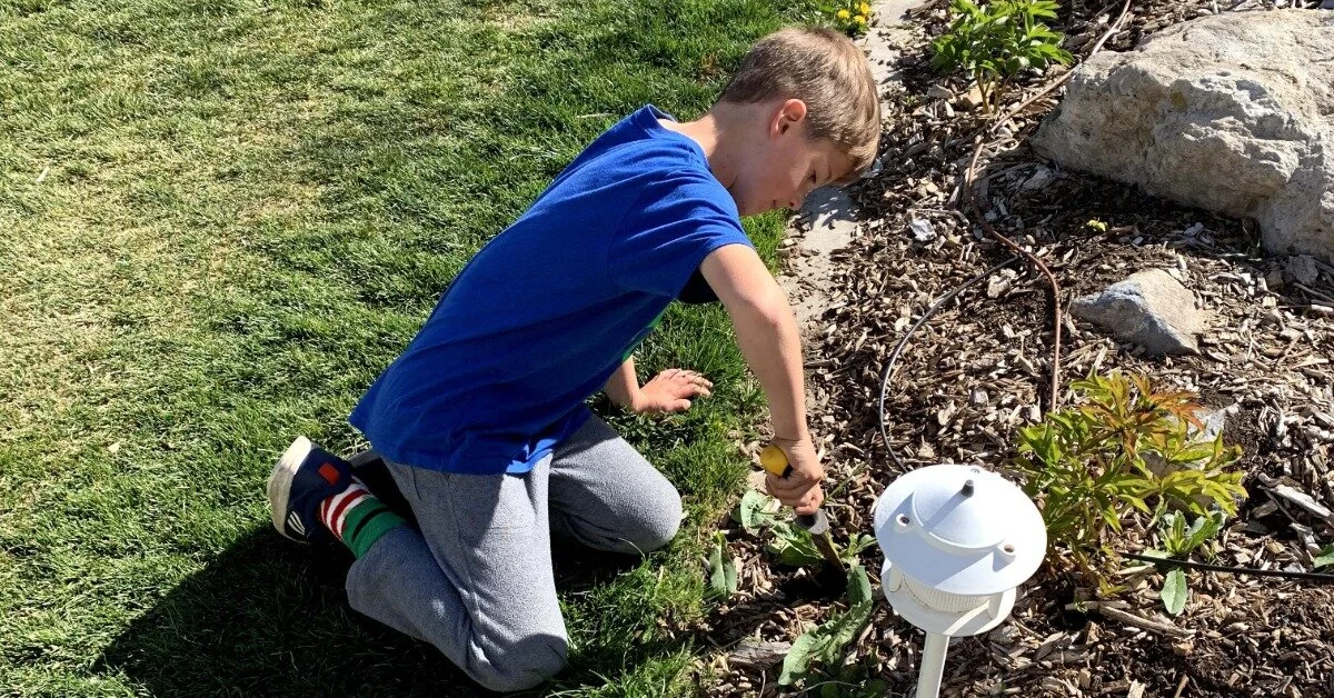 5 Tips for Involving Children in Gardening and Floral Design