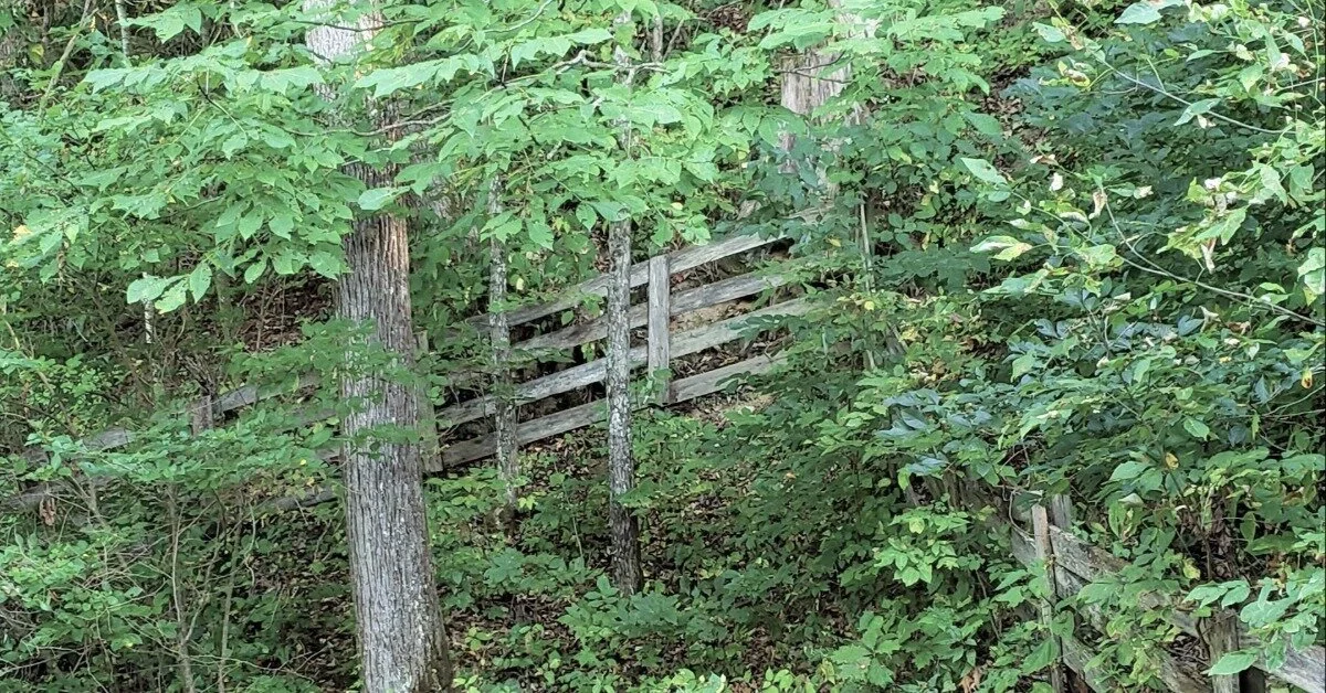 Taking Floral Design Lessons from the Woods