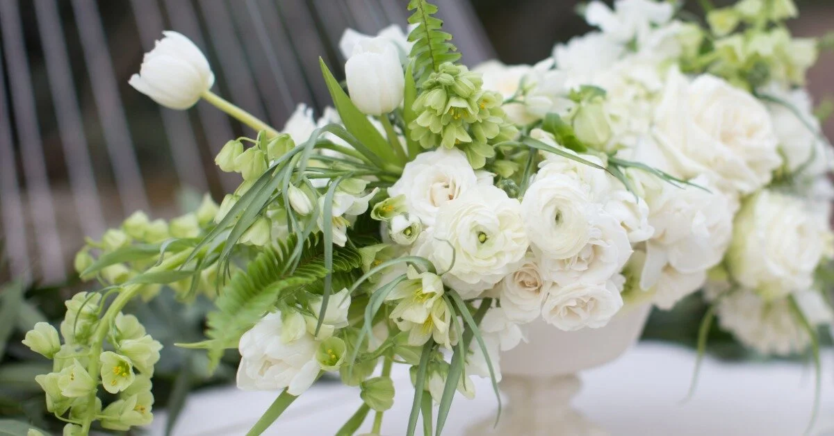 Create 10 Pieces of Instagram Content You Love for Under $75