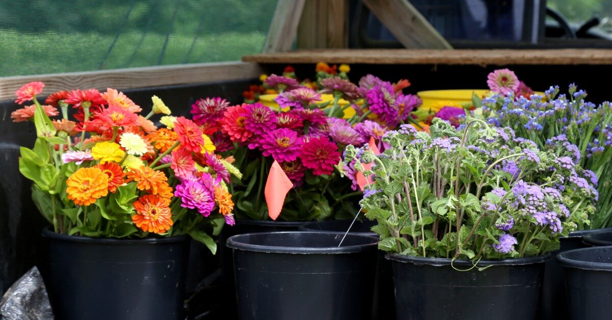 9 Ways to Make Your Floral Business More Sustainable
