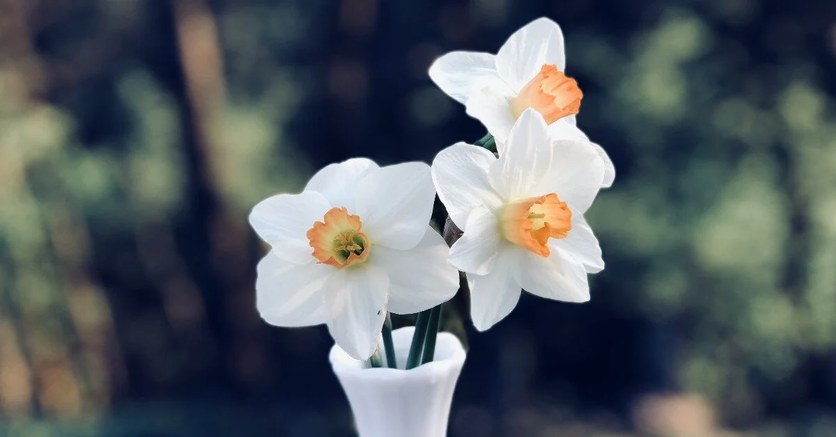 Overcoming Hardship in Your Small Business and How to Bounce Back