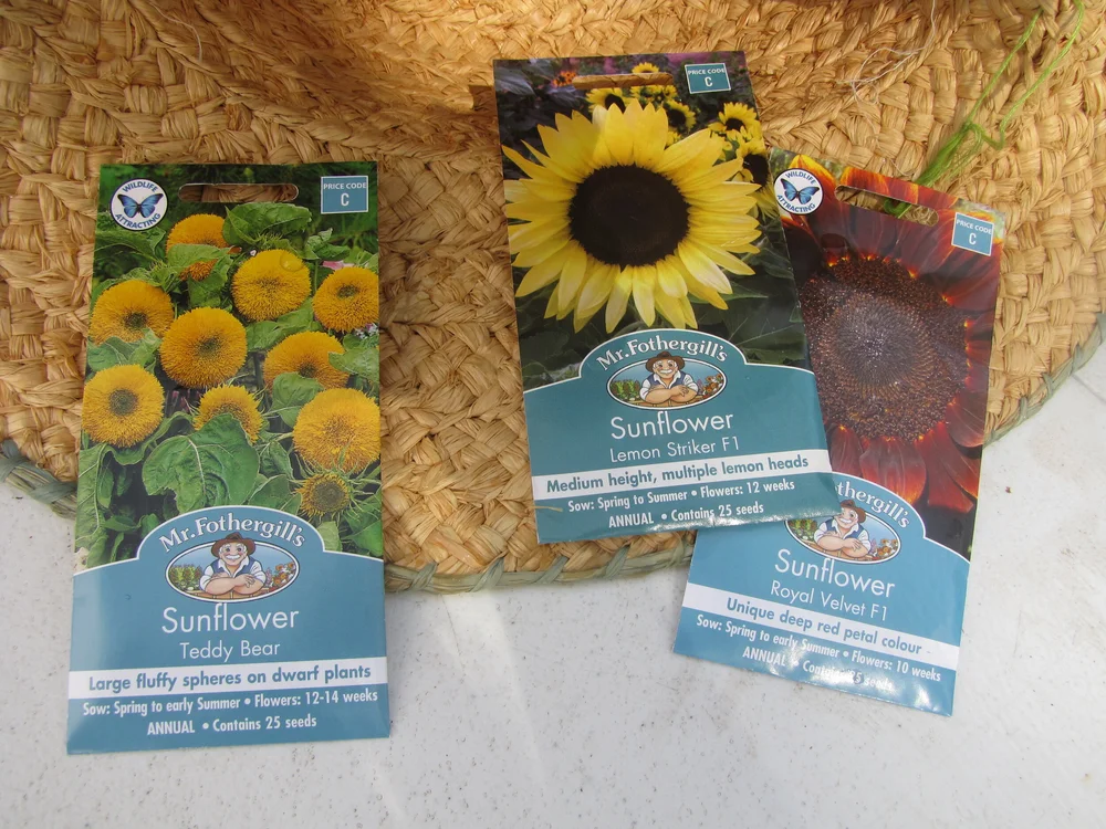 How to Harvest Your Own Seed Tips for Collecting Flower Seed