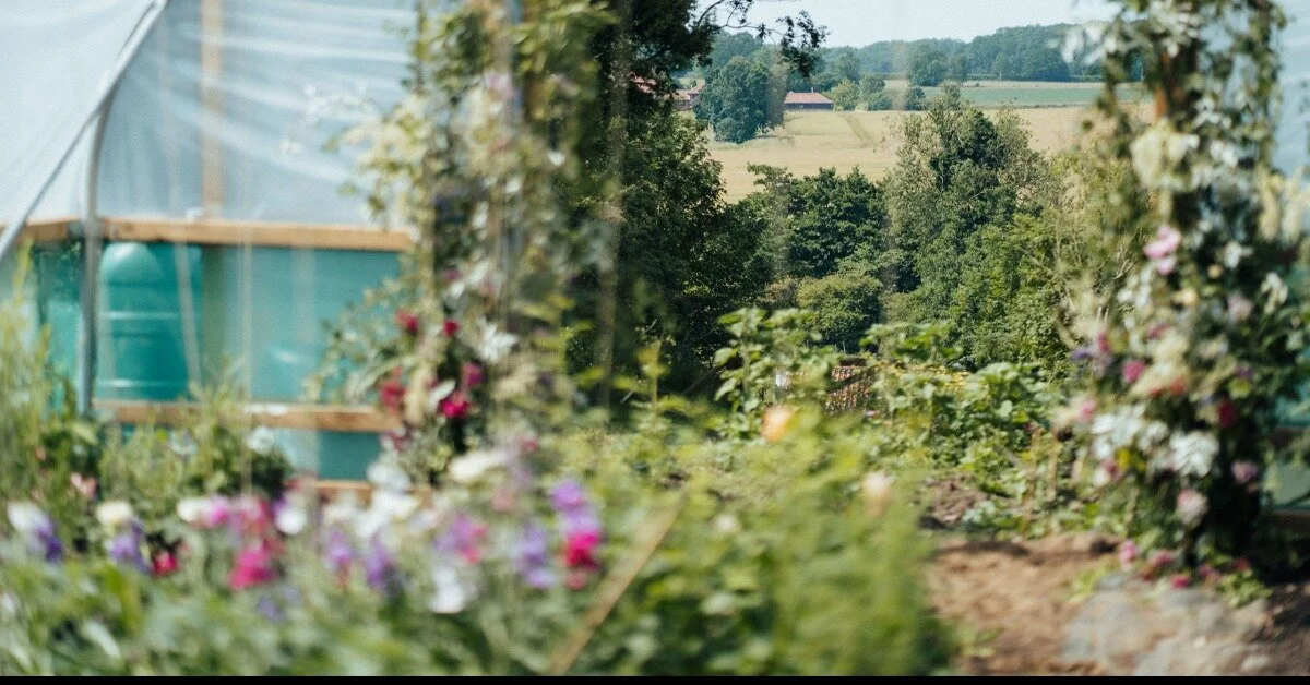 Unique Ideas for Connecting with Your Community The Wild Folk Florist