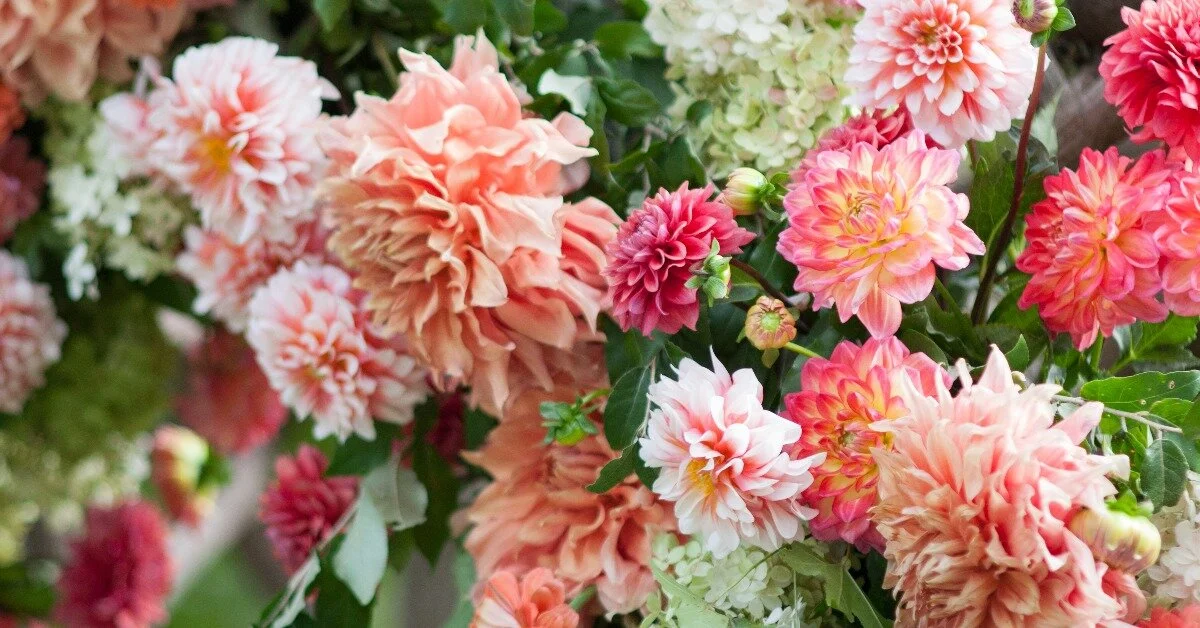 The Tricky Balance of Scaling a Floral Business