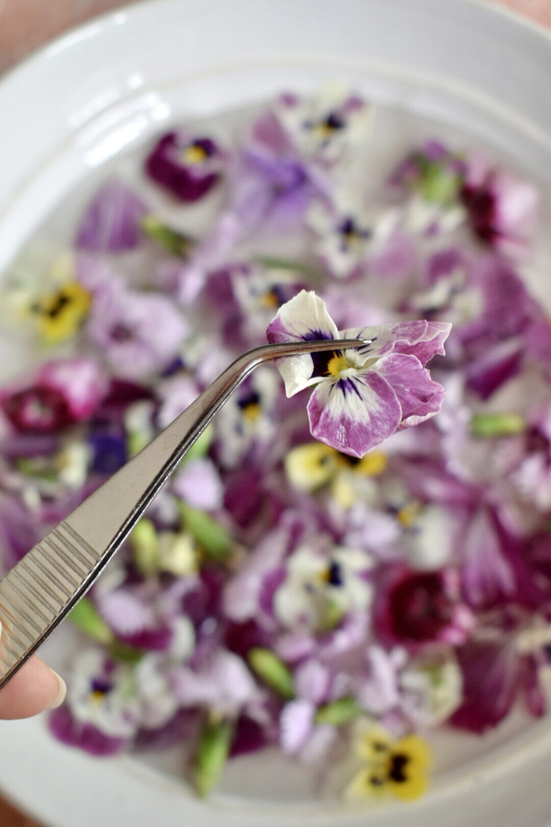 Dried edible flowers for cakes decorating | Pansy mini rose wedding mix EU  grown