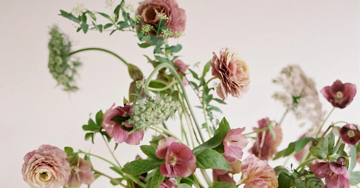 Well-Loved Flower Substitutions for Popular Blooms
