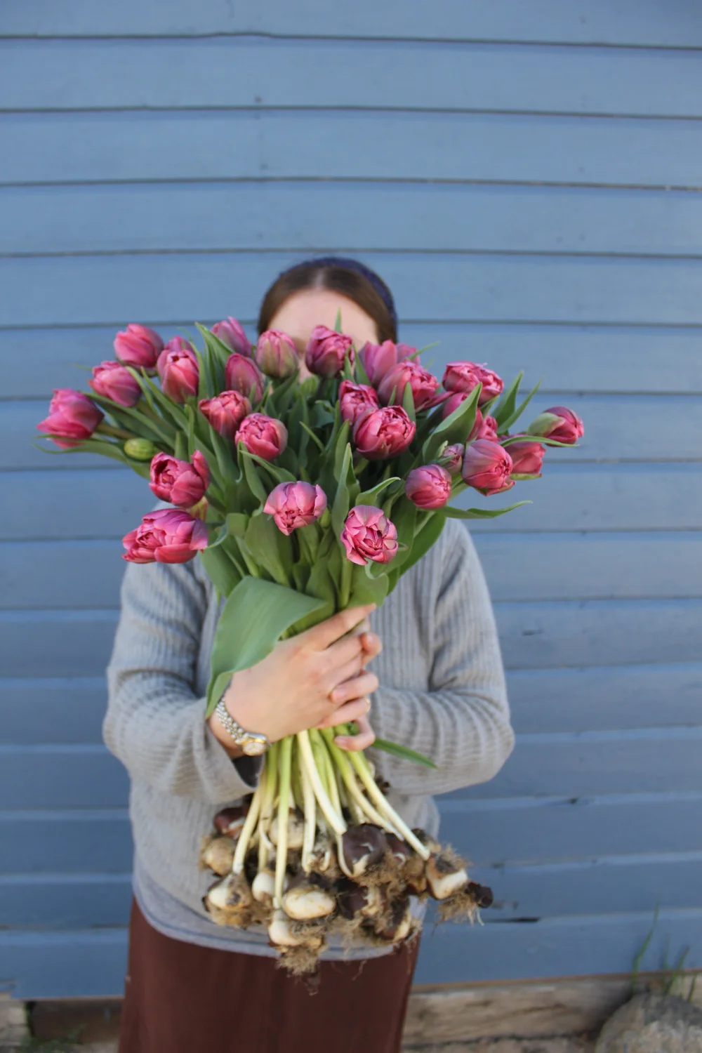 How to Grow Tulips the Flower Farmer Way