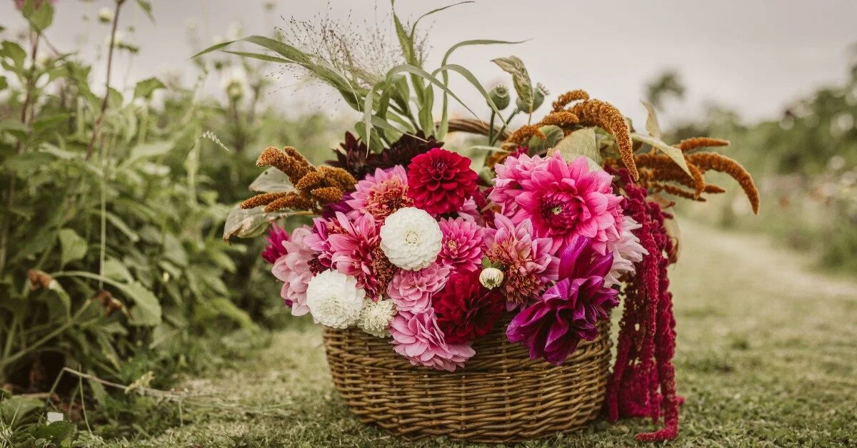 Business Model Highlight: Thoughtful Gifting with Bell Meadow