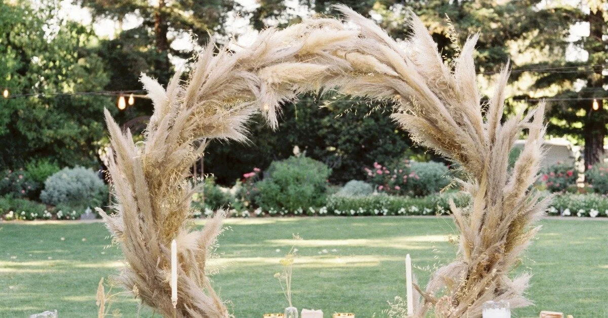 How to Grow Pampas Grass: A Guide for Flower Growers