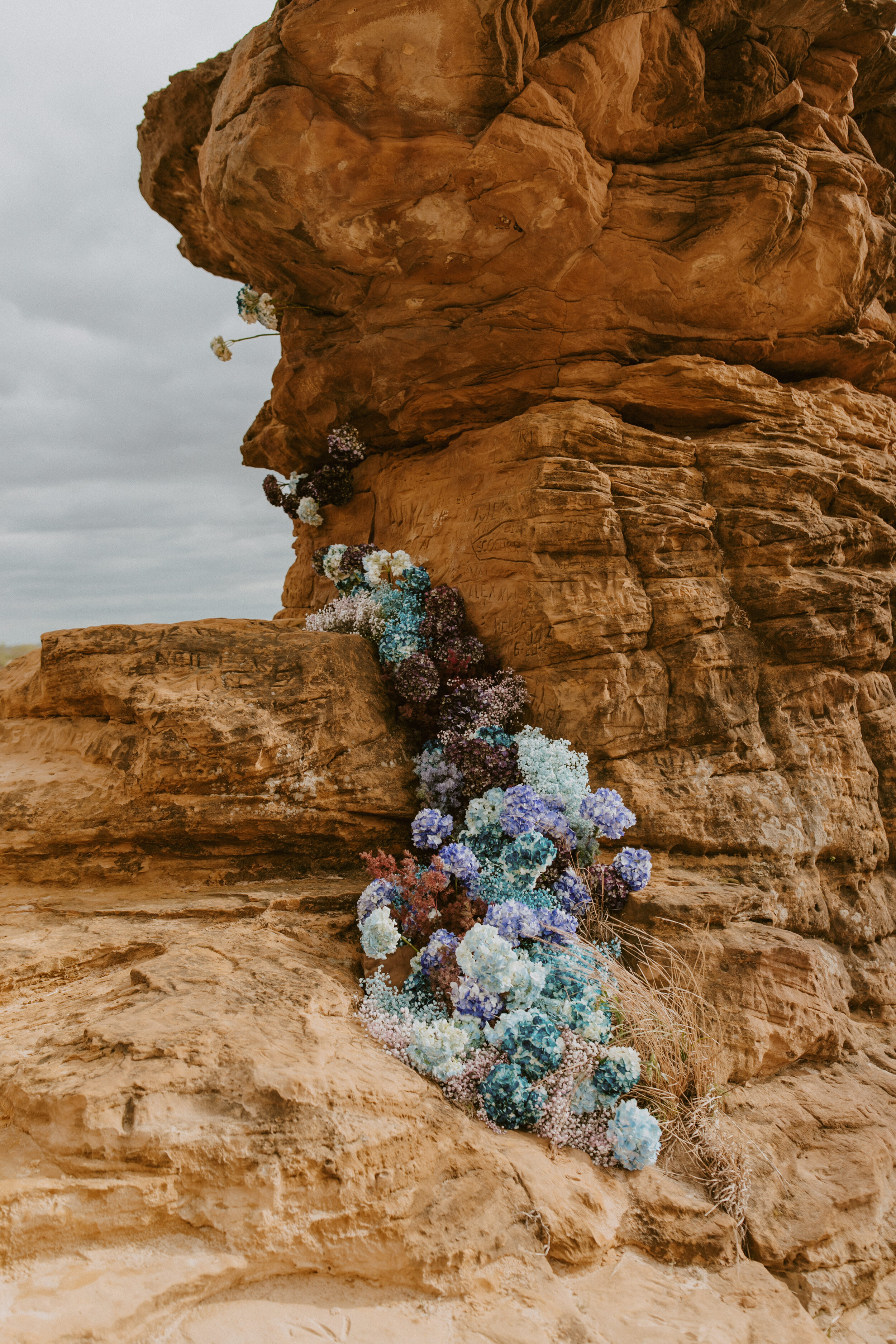 Ferrell Richardson - Hydrangea Installation -- Photo Beba Vowells.jpg