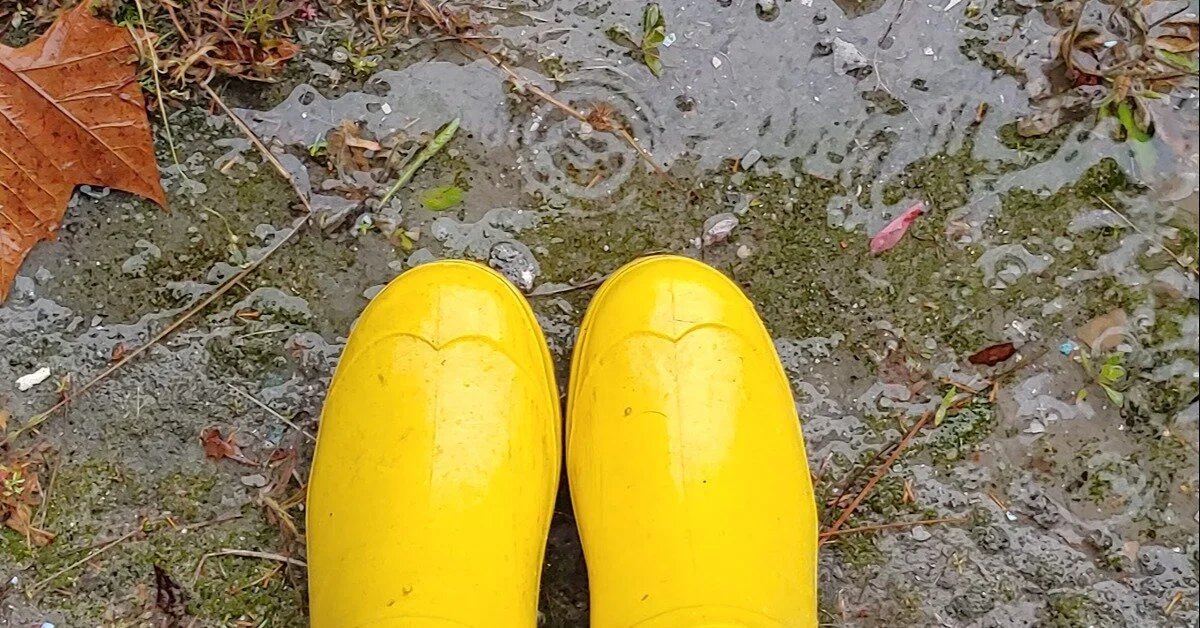 Productive Ideas for Flower Farmers to Fill Rainy Seasons