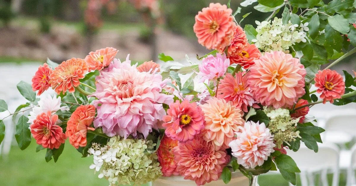 Your Complete Guide to Growing Annuals That Bloom All Summer