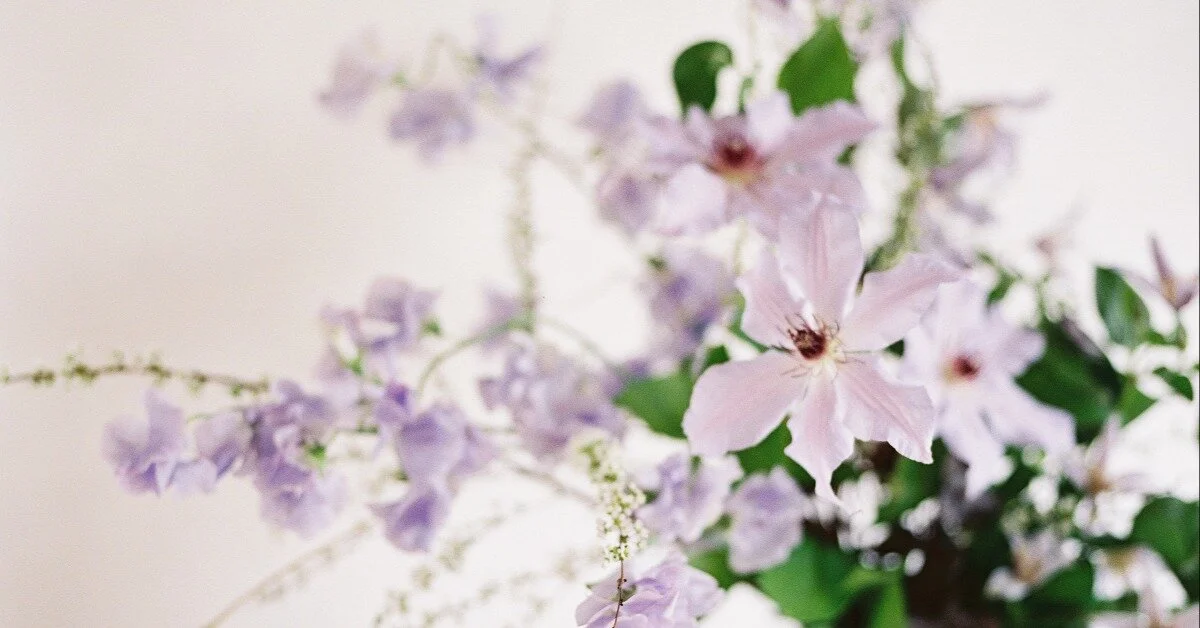 Best Perennials That Bloom All Season for Cut Flower Gardens