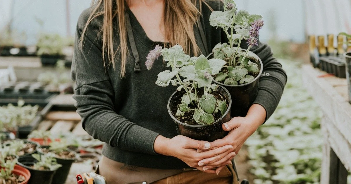 Business Model Highlight: Growing Together with Meadow Farm Florals