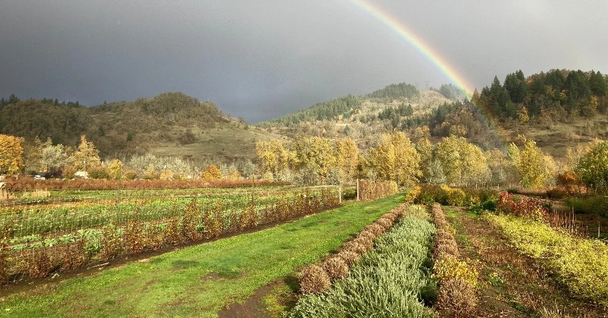 Large-Scale Flower Farming with Bethany Little