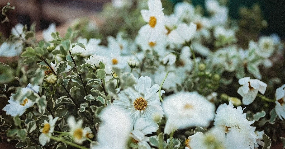 Business Model Highlight: Utilizing Flower Farms for Professional Development