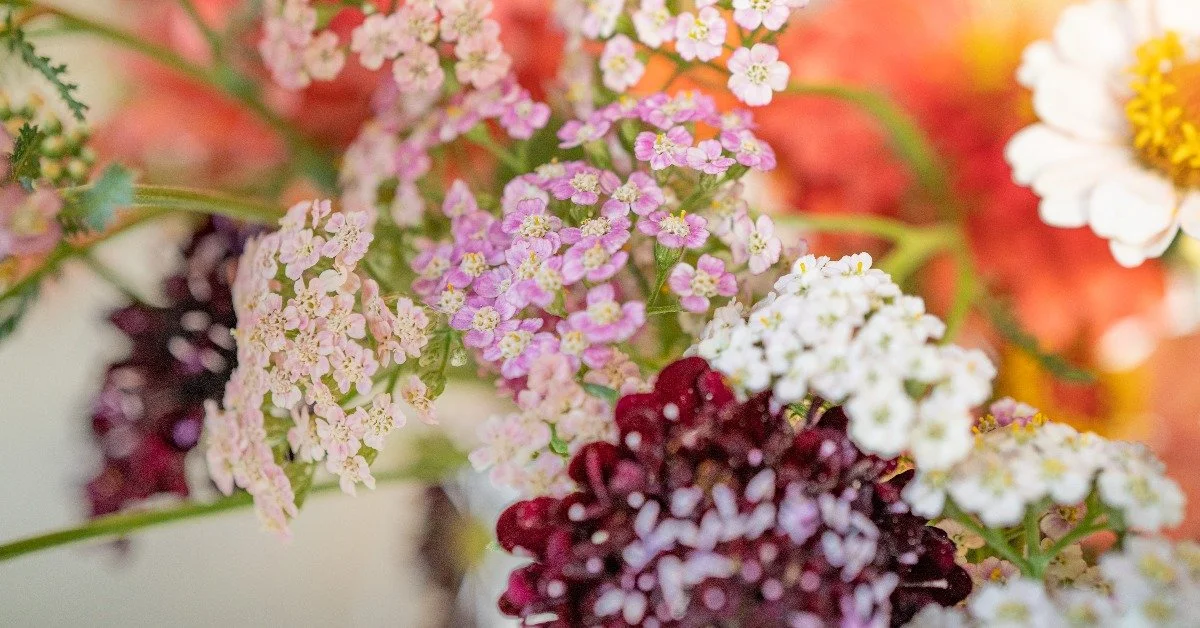 How to Create a Solid Business Plan for Your Flower Farm