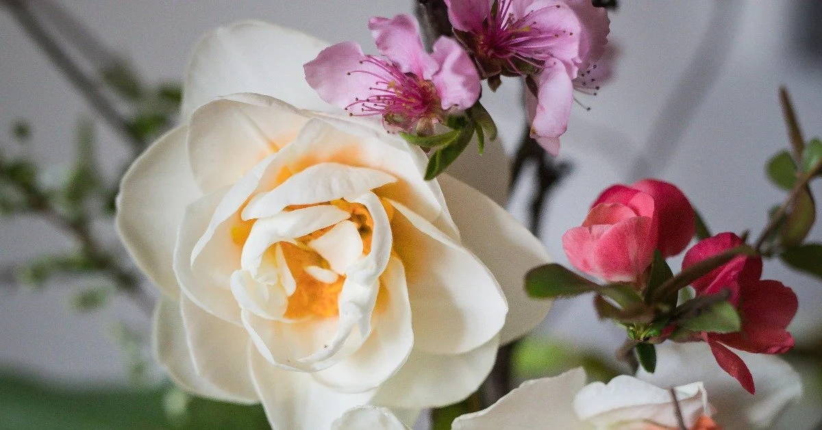 Growing Flowers and Children with Rising Hill Farm