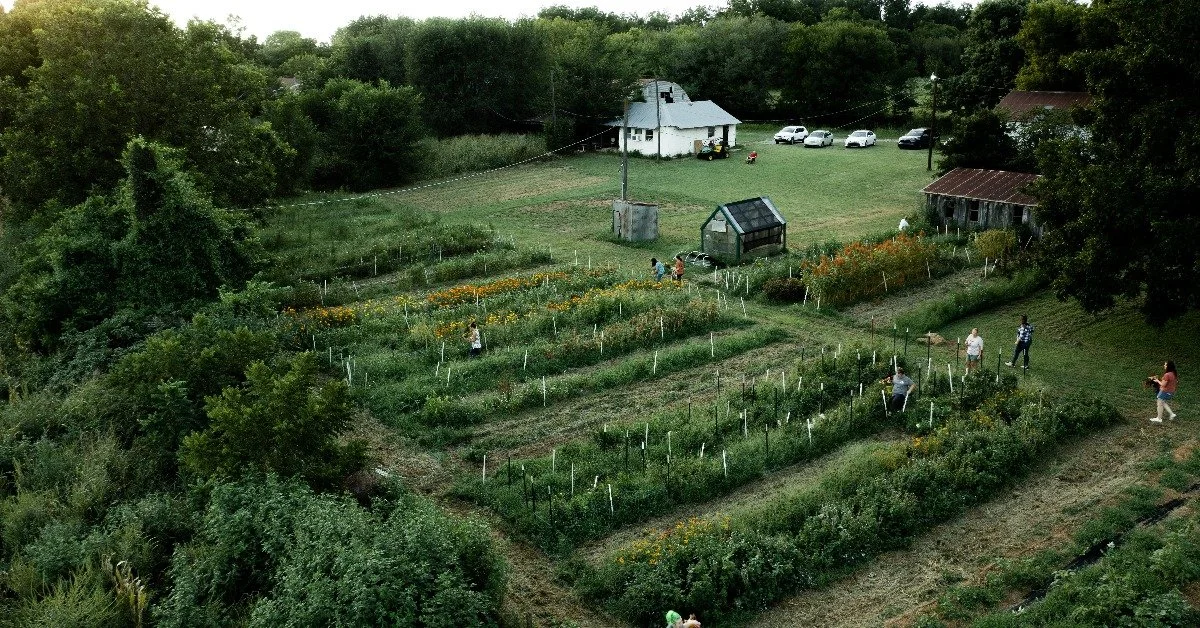 Running a Successful Side Hustle: Cut Flower Farms