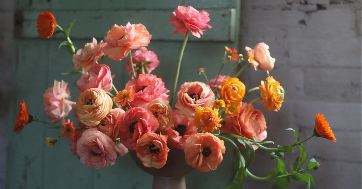 Honest Conversations with Bloom & Burn