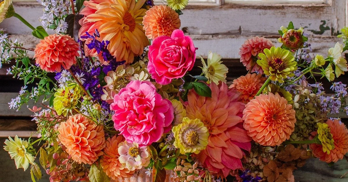 Bravery + Sustainability with TJ McGrath