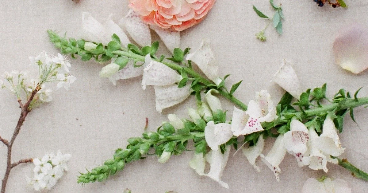 6 Biennials to Grow for Cut Flowers