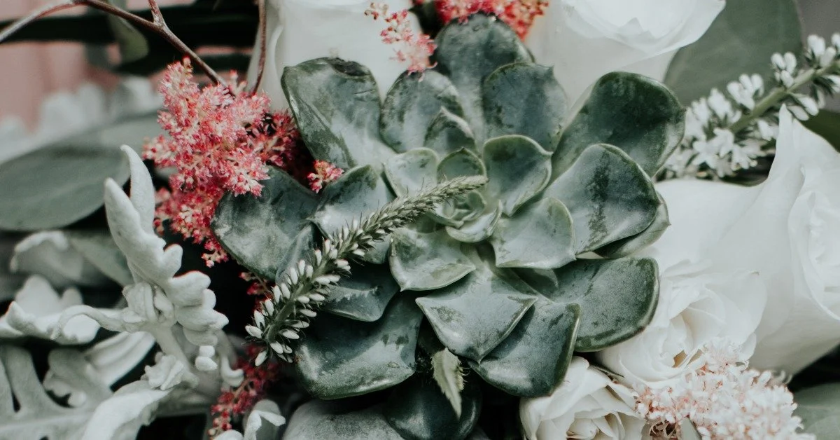 5 Steps to Create a Living Succulent Bouquet