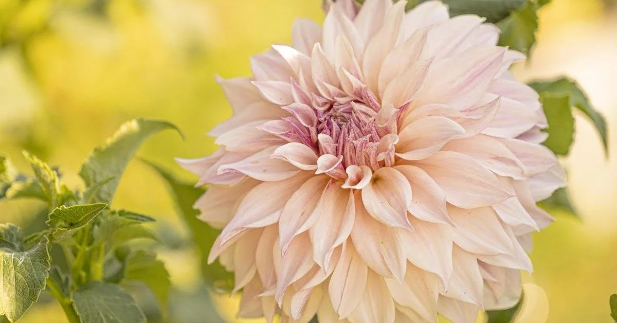 Creating a Business Model that Gives Back