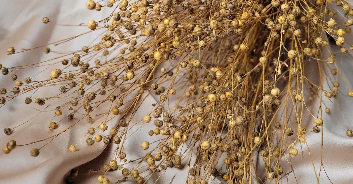 Unique Flowers for Dried Stem Production