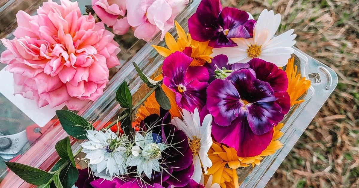 Using and Growing Edible Flowers for Floral Design