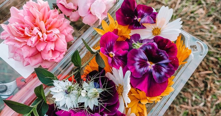 17 Excellent Ingredients for Therapeutic Edible Flower Bouquets